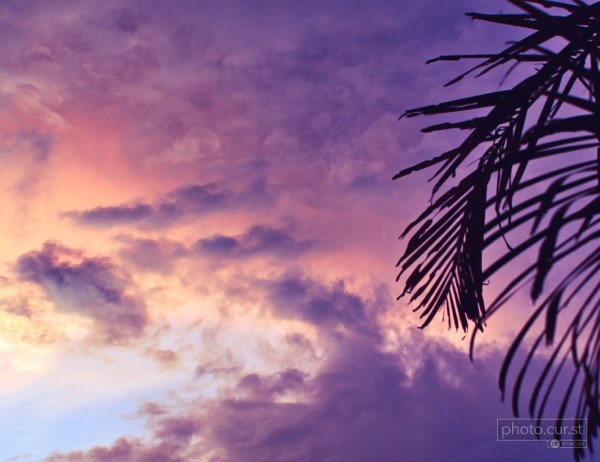 🔖 Sunset

Purple sky after a tropical cyclone.
